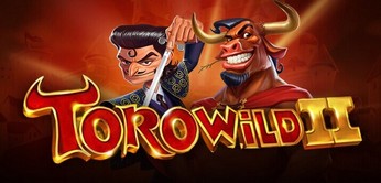 Torowild 2_Stake slot